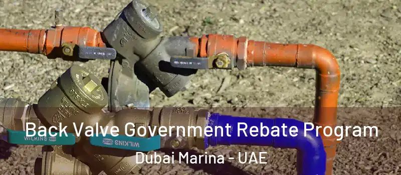  Back Valve Government Rebate Program Dubai Marina - UAE