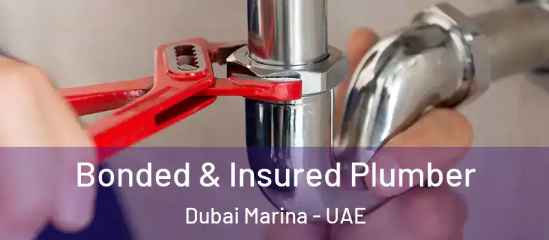  Bonded & Insured Plumber Dubai Marina - UAE