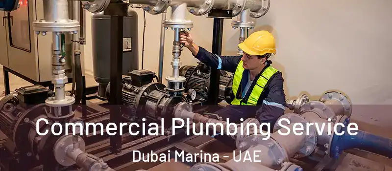  Commercial Plumbing Service Dubai Marina - UAE
