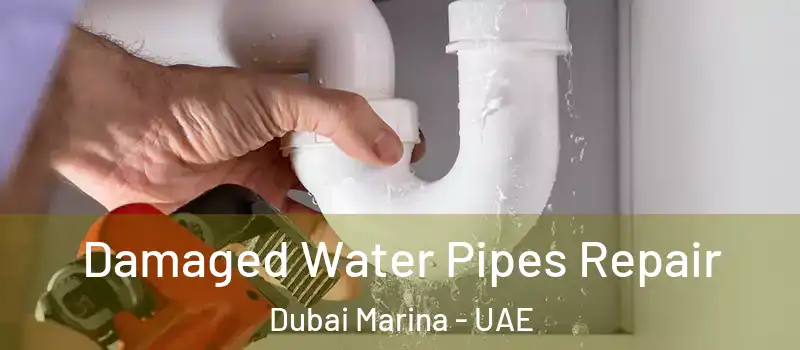  Damaged Water Pipes Repair Dubai Marina - UAE
