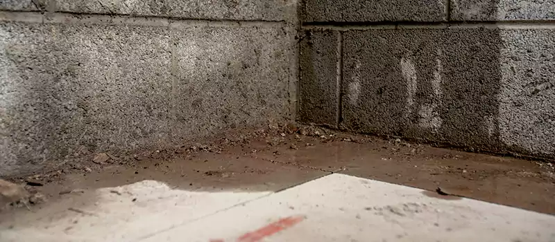 Damage Foundation Leak Repair Services in Dubai Marina, UAE