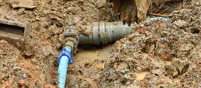 Commercial Sewer Tree Roots Damage Solutions in Dubai Marina, UAE