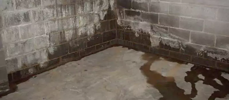 Foundation Sill Plate Leaks Repair Services in Dubai Marina, UAE