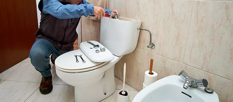 Toilet Flush Valve Installation Services in Dubai Marina, UAE