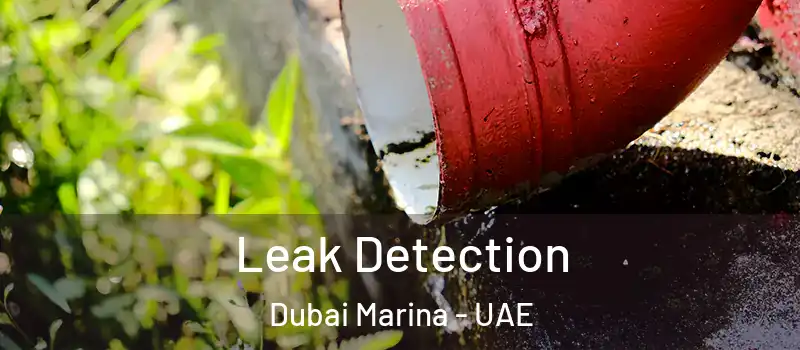  Leak Detection Dubai Marina - UAE