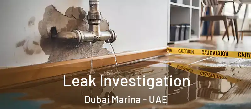 Leak Investigation Dubai Marina - UAE