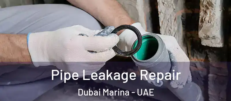  Pipe Leakage Repair Dubai Marina - UAE