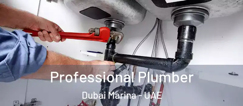  Professional Plumber Dubai Marina - UAE