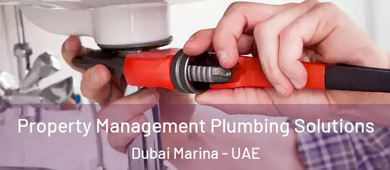  Property Management Plumbing Solutions Dubai Marina - UAE
