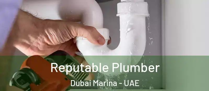  Reputable Plumber Dubai Marina - UAE