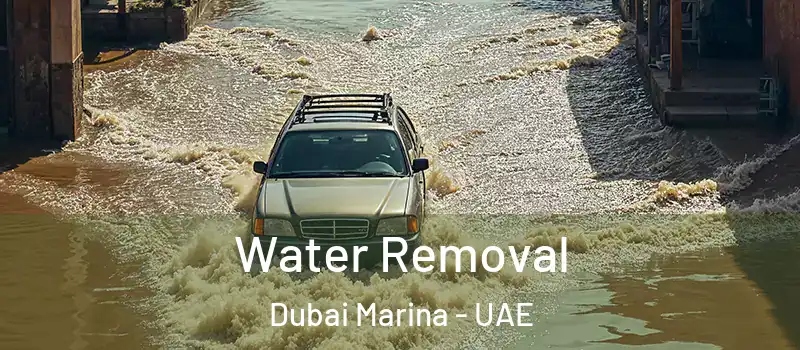  Water Removal Dubai Marina - UAE