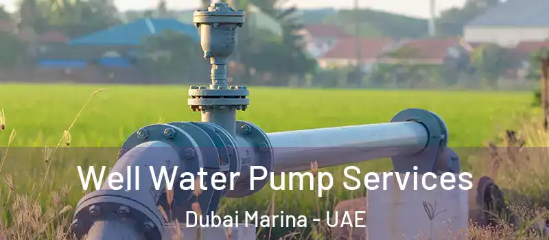  Well Water Pump Services Dubai Marina - UAE
